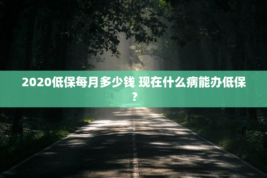 2020低保每月多少钱 现在什么病能办低保？