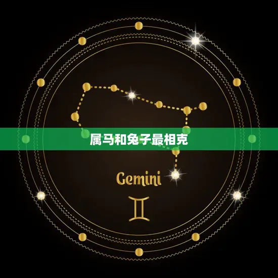 属马和兔子最相克