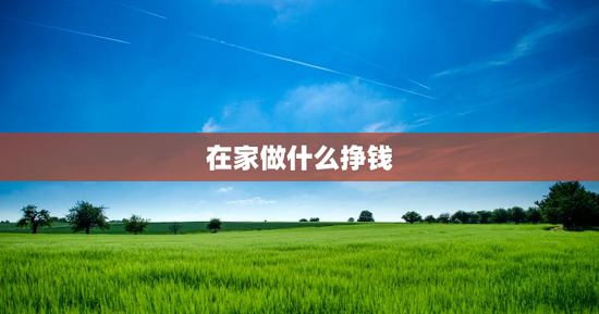 在家做什么挣钱