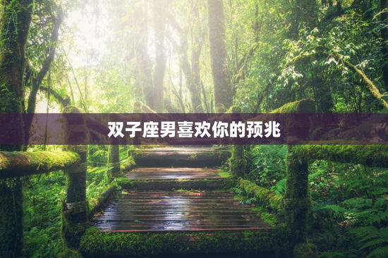 双子座男喜欢你的预兆