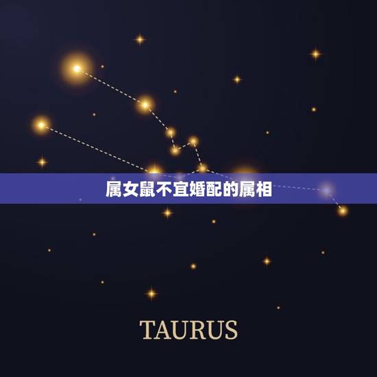 属女鼠不宜婚配的属相(介绍哪些生肖与女鼠不合适)