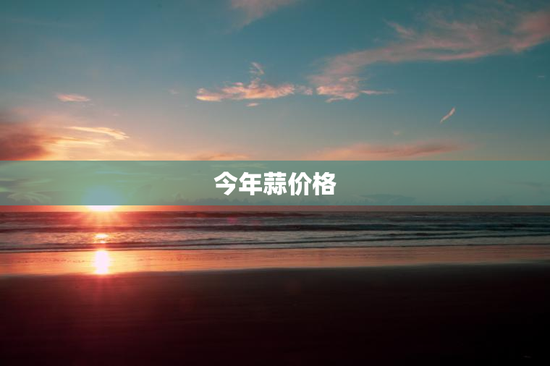 今年蒜价格