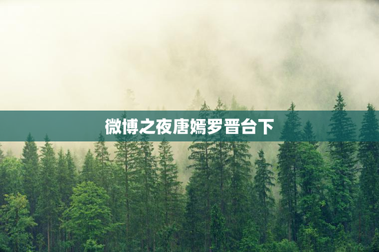 微博之夜唐嫣罗晋台下