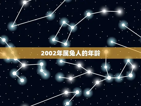 2002年属兔人的年龄