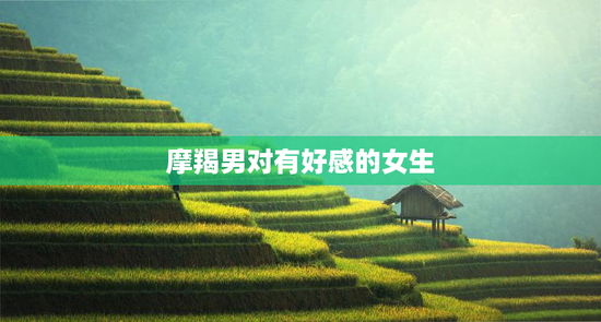 摩羯男对有好感的女生