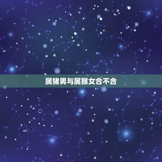 属猪男与属猴女合不合