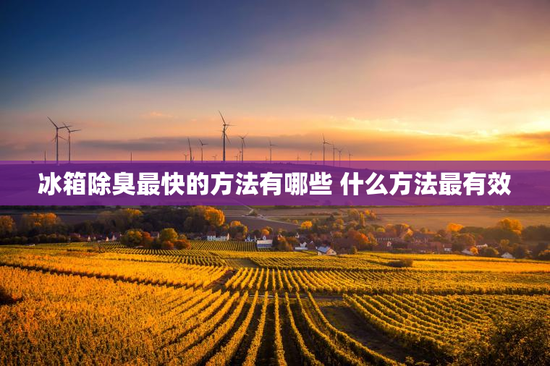 冰箱除臭最快的方法有哪些 什么方法最有效