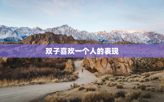 双子喜欢一个人的表现