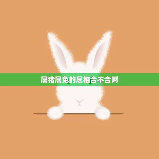 属猪属兔的属相合不合财(财运如何)