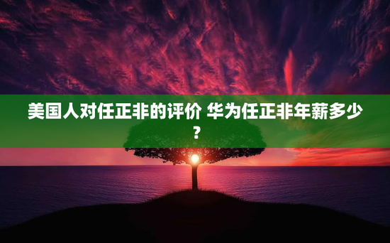 美国人对任正非的评价 华为任正非年薪多少？