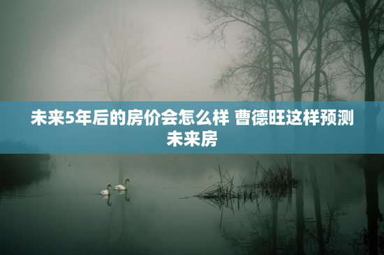 未来5年后的房价会怎么样 曹德旺这样预测未来房