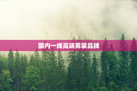 国内一线高端男装品牌