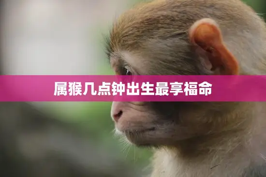 属猴几点钟出生最享福命(猴年出生时辰关键)