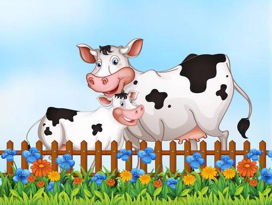 金牛女和什么星座女生最配(星座大揭秘最佳配对星座)