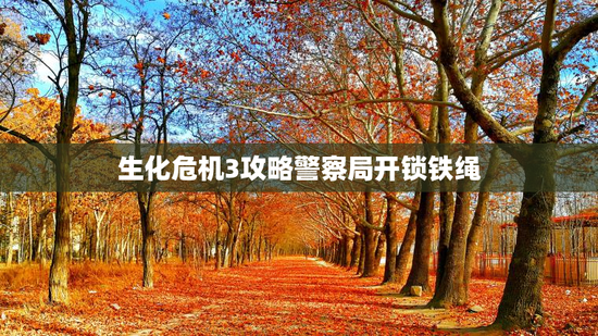 生化危机3攻略警察局开锁铁绳