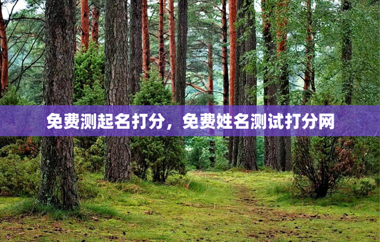 免费测起名打分，免费姓名测试打分网