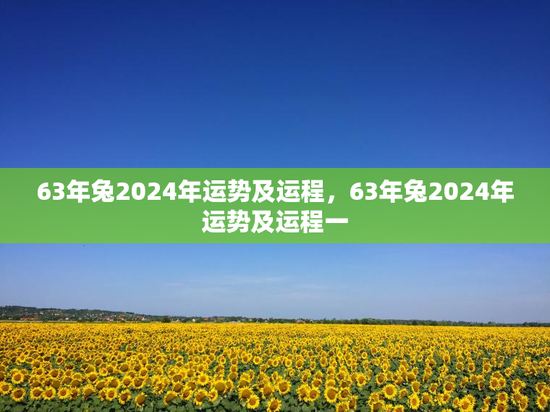 63年兔2024年运势及运程，63年兔2024年运势及运程一