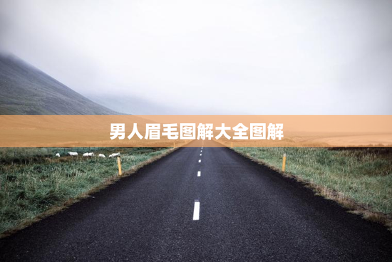 男人眉毛图解大全图解