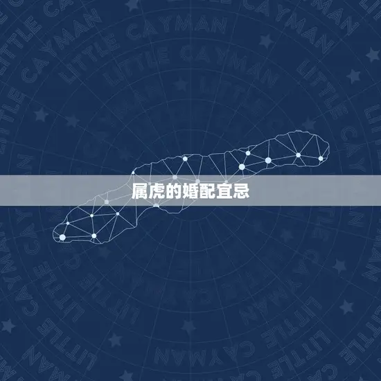 属虎的婚配宜忌