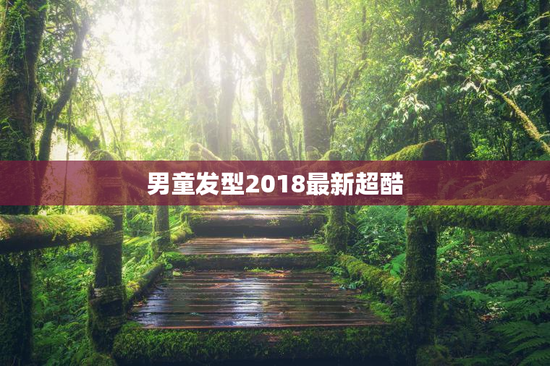 男童发型2018最新超酷