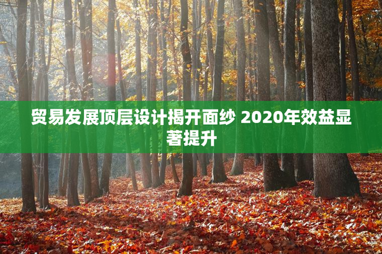 贸易发展顶层设计揭开面纱 2020年效益显著提升