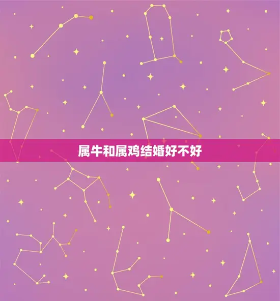 属牛和属鸡结婚好不好