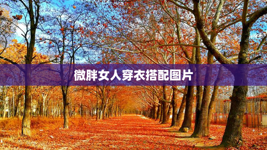 微胖女人穿衣搭配图片