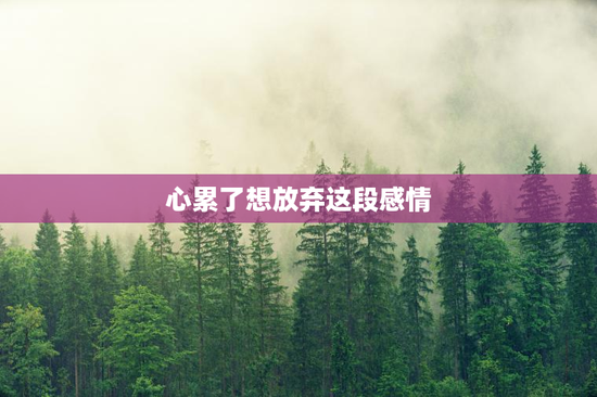 心累了想放弃这段感情