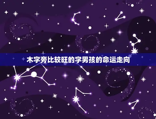 木字旁比较旺的字男孩的命运走向