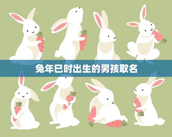兔年巳时出生的男孩取名(如何选择合适的名字)