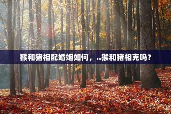 猴和猪相配婚姻如何，..猴和猪相克吗？