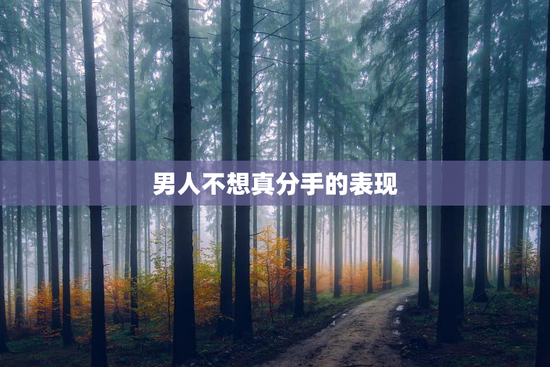 男人不想真分手的表现