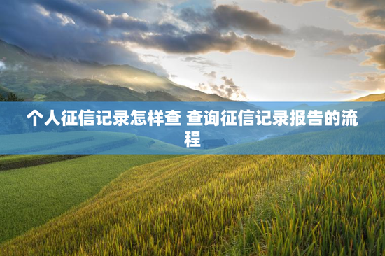 个人征信记录怎样查 查询征信记录报告的流程