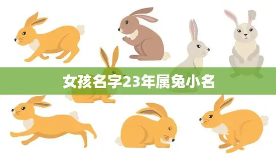 女孩名字23年属兔小名(如何选择)