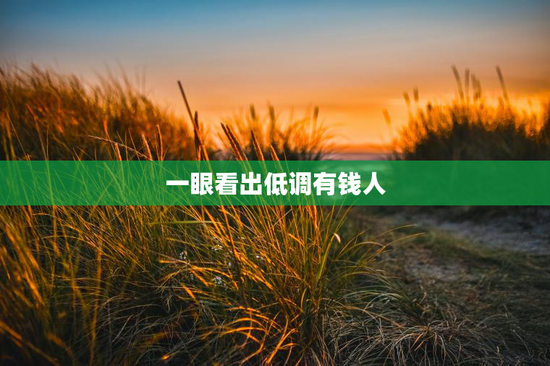 一眼看出低调有钱人