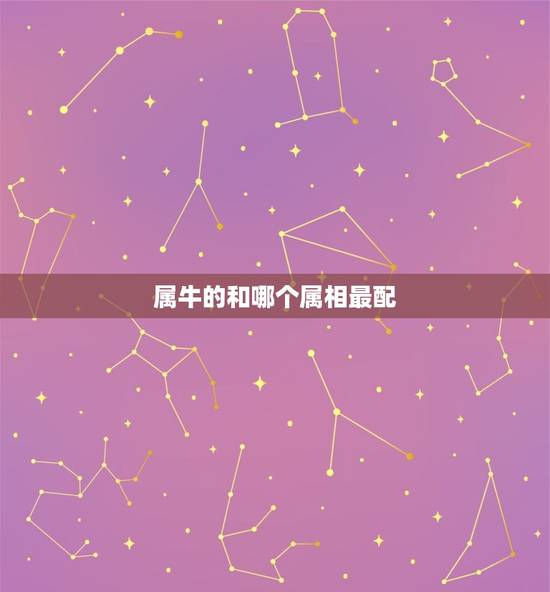 属牛的和哪个属相最配(相克相冲大介绍)