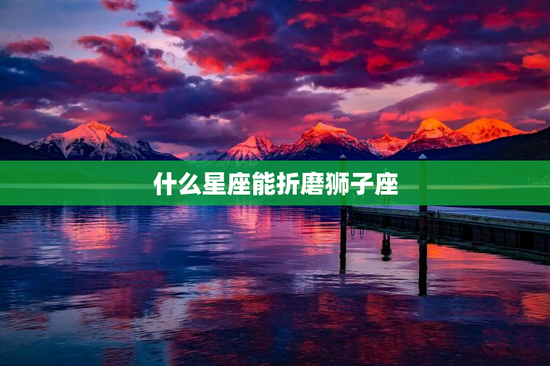 什么星座能折磨狮子座