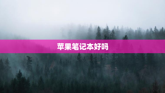 苹果笔记本好吗