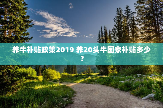 养牛补贴政策2019 养20头牛国家补贴多少？