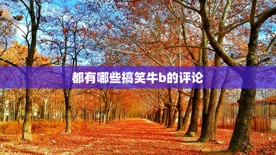 都有哪些搞笑牛b的评论