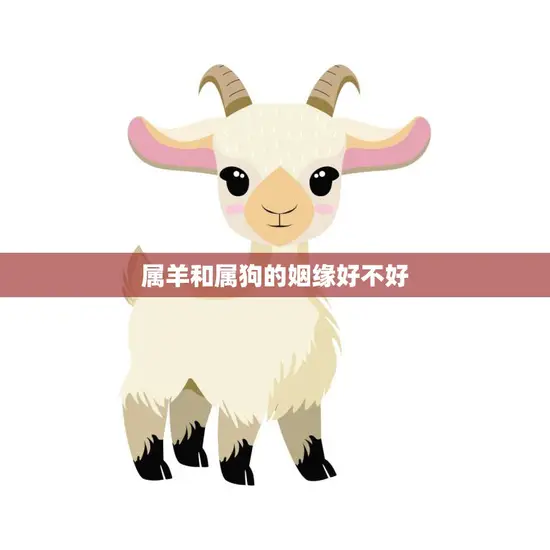 属羊和属狗的姻缘好不好(解析星座配对大揭秘)