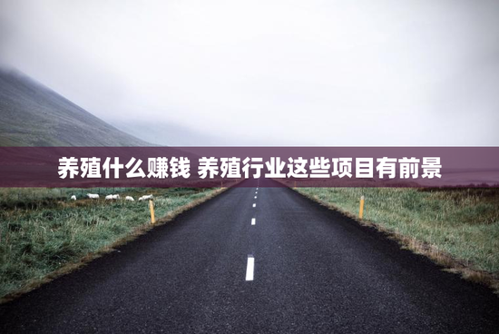 养殖什么赚钱 养殖行业这些项目有前景