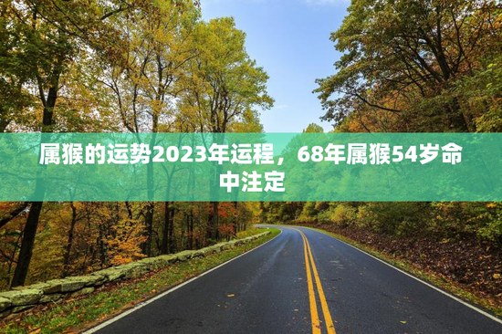 属猴的运势2023年运程，68年属猴54岁命中注定