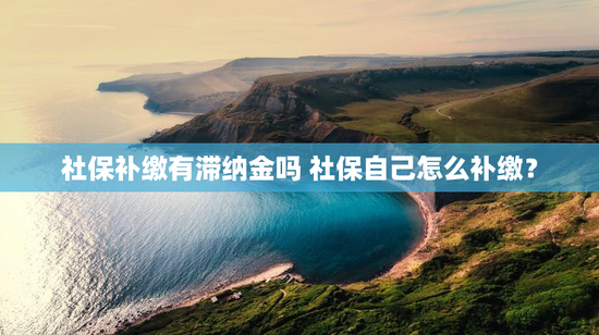 社保补缴有滞纳金吗 社保自己怎么补缴？