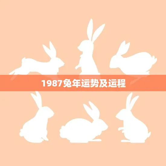 1987兔年运势及运程(如何把握机遇迎接挑战)