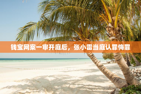 钱宝网案一审开庭后，张小雷当庭认罪悔罪