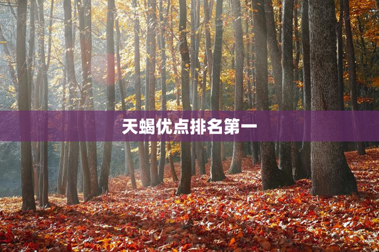天蝎优点排名第一