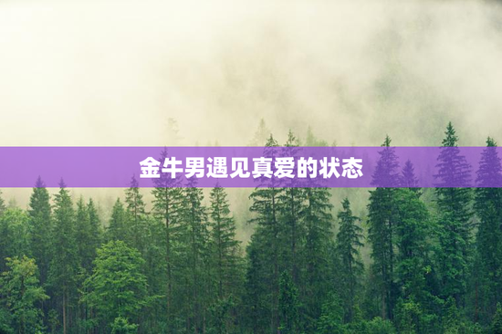 金牛男遇见真爱的状态
