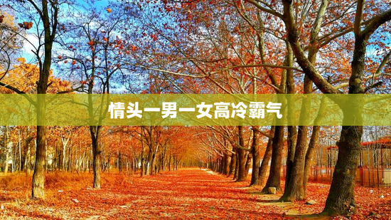情头一男一女高冷霸气