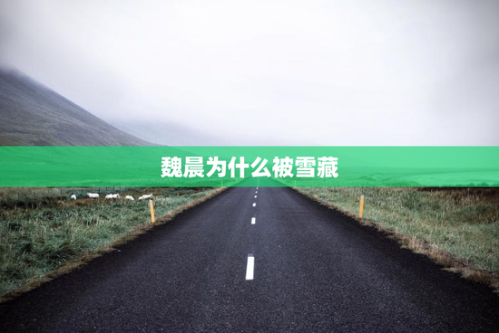 魏晨为什么被雪藏